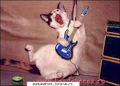 funny poze rock