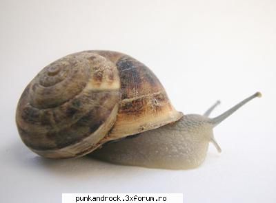 pui o poza cu ceva ce bate imaginea dinainte ^^
�ncepem mai usor... razboi cu imagini!